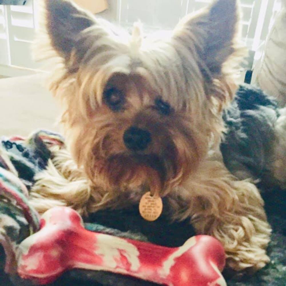 Meet your Posher, Dawn